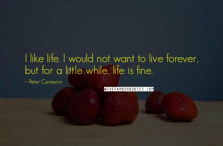 Peter Cameron Quotes: I like life. I would not want to live forever, but for a little while, life is fine.