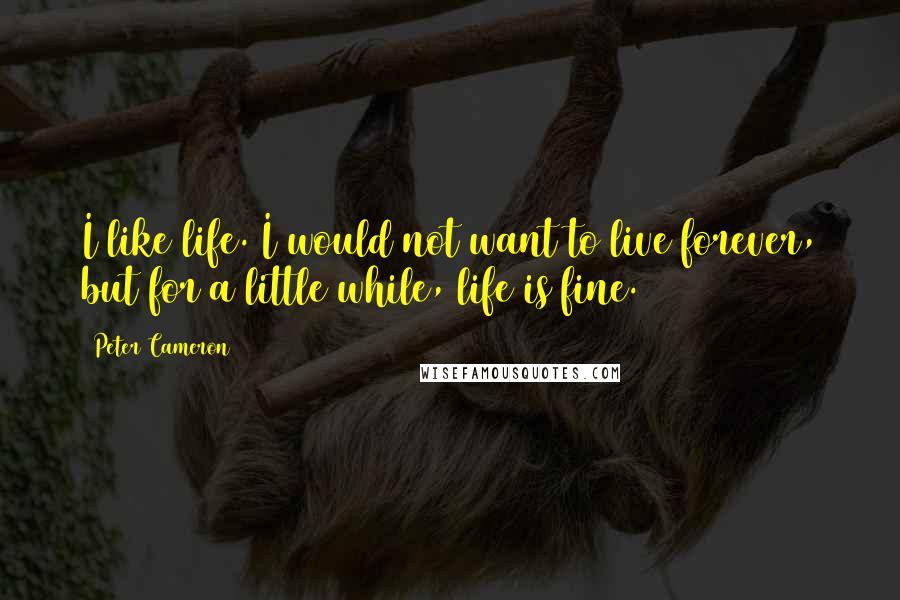 Peter Cameron Quotes: I like life. I would not want to live forever, but for a little while, life is fine.