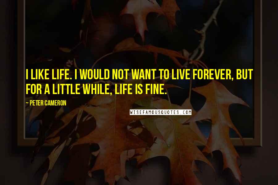 Peter Cameron Quotes: I like life. I would not want to live forever, but for a little while, life is fine.