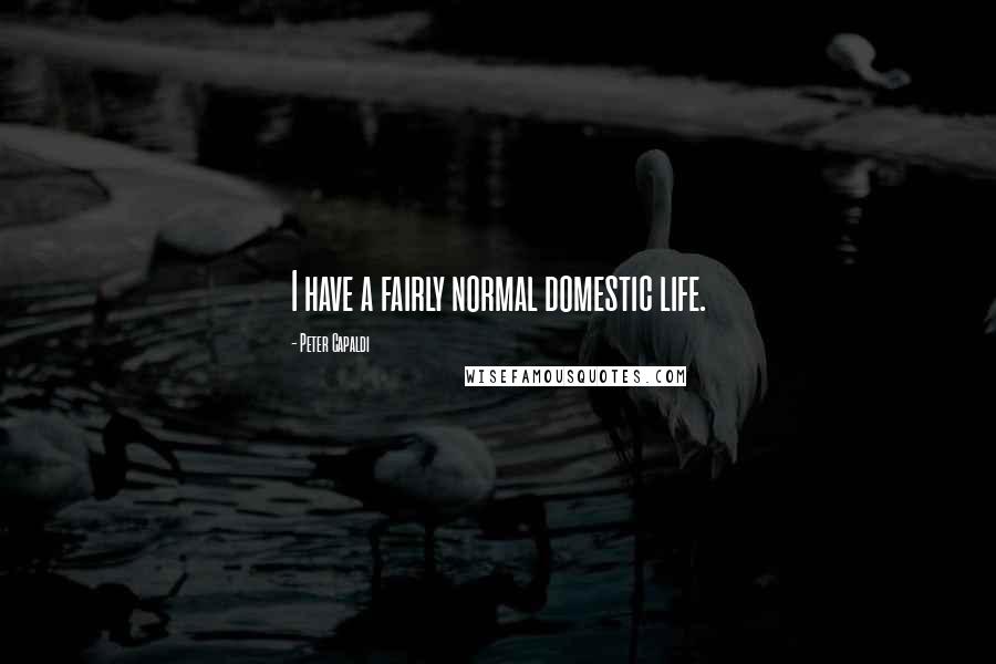 Peter Capaldi Quotes: I have a fairly normal domestic life.