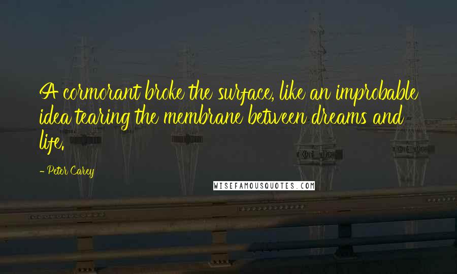 Peter Carey Quotes: A cormorant broke the surface, like an improbable idea tearing the membrane between dreams and life.