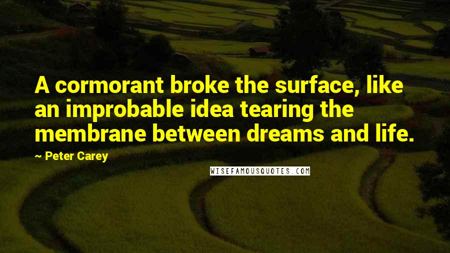 Peter Carey Quotes: A cormorant broke the surface, like an improbable idea tearing the membrane between dreams and life.