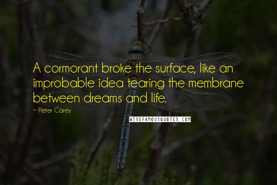 Peter Carey Quotes: A cormorant broke the surface, like an improbable idea tearing the membrane between dreams and life.
