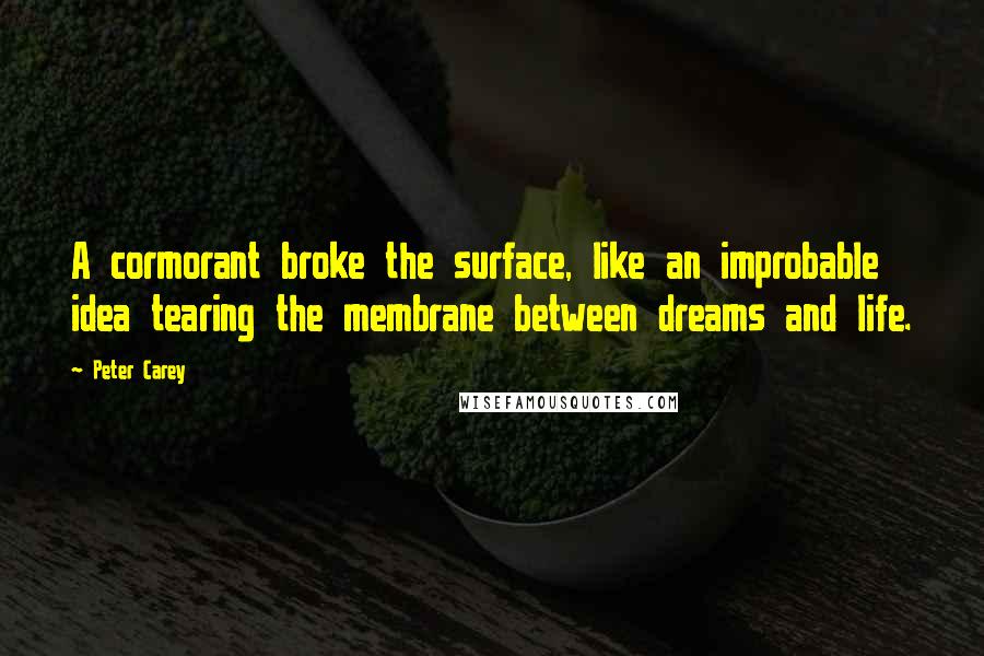 Peter Carey Quotes: A cormorant broke the surface, like an improbable idea tearing the membrane between dreams and life.