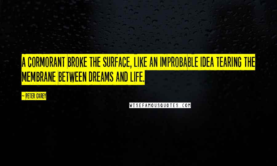 Peter Carey Quotes: A cormorant broke the surface, like an improbable idea tearing the membrane between dreams and life.