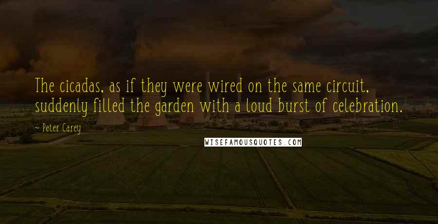 Peter Carey Quotes: The cicadas, as if they were wired on the same circuit, suddenly filled the garden with a loud burst of celebration.