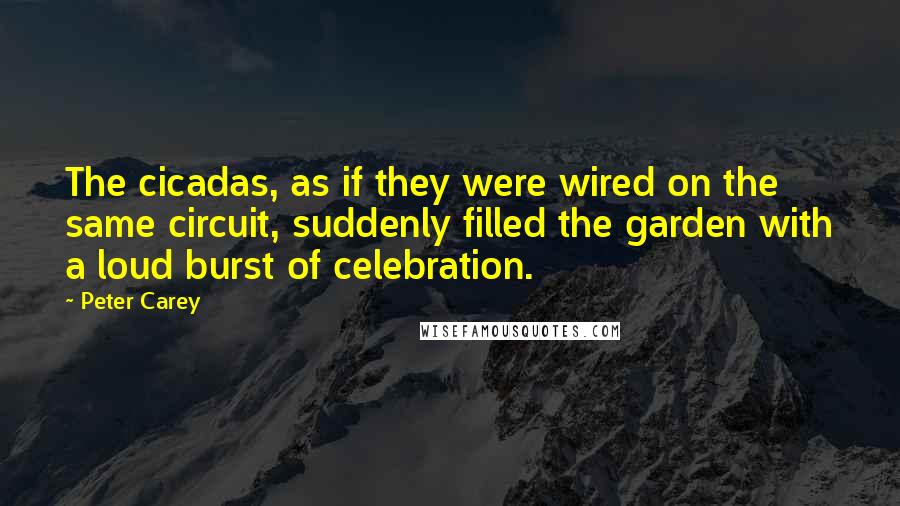 Peter Carey Quotes: The cicadas, as if they were wired on the same circuit, suddenly filled the garden with a loud burst of celebration.