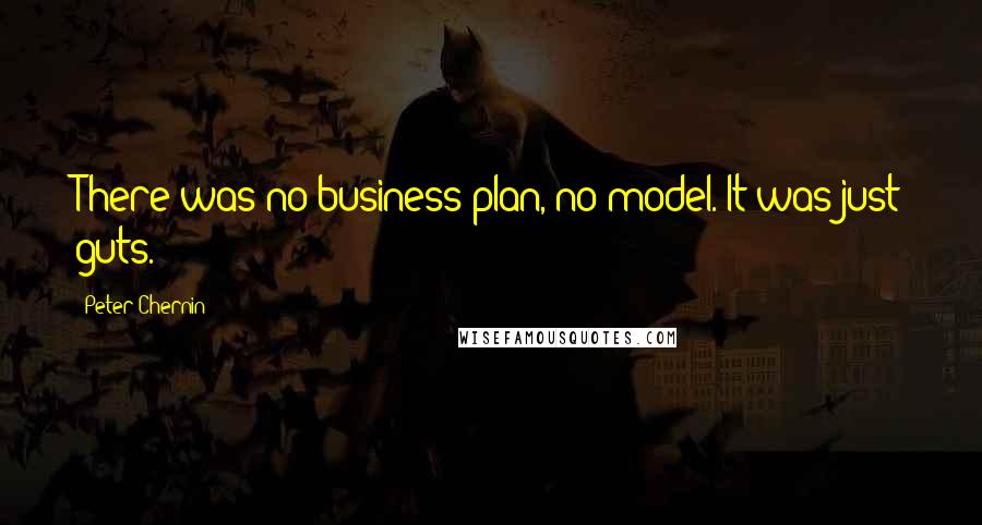 Peter Chernin Quotes: There was no business plan, no model. It was just guts.