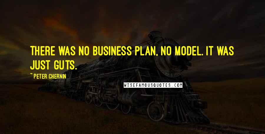 Peter Chernin Quotes: There was no business plan, no model. It was just guts.