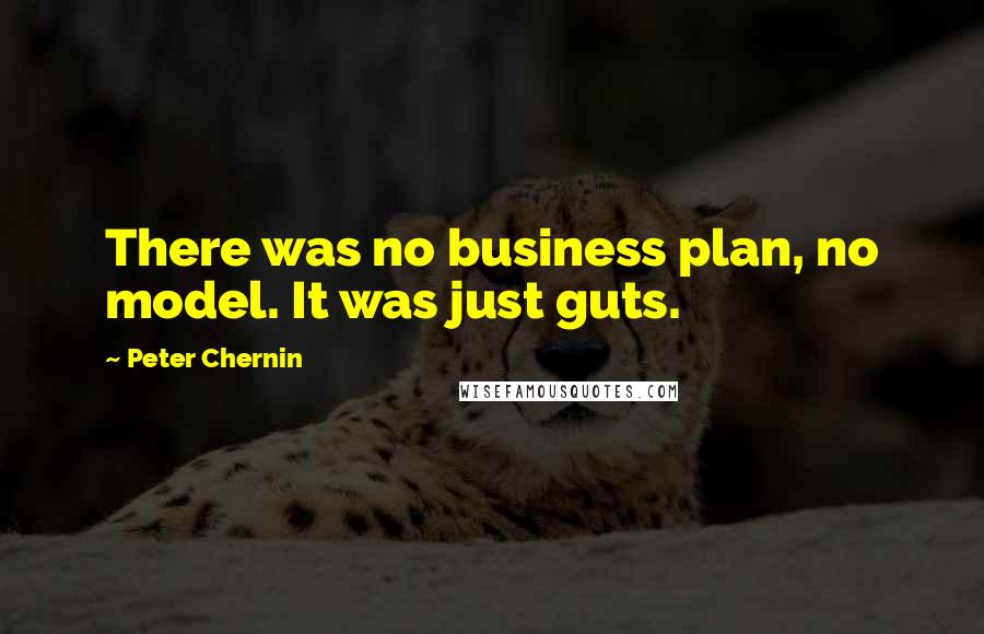Peter Chernin Quotes: There was no business plan, no model. It was just guts.