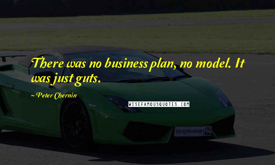 Peter Chernin Quotes: There was no business plan, no model. It was just guts.