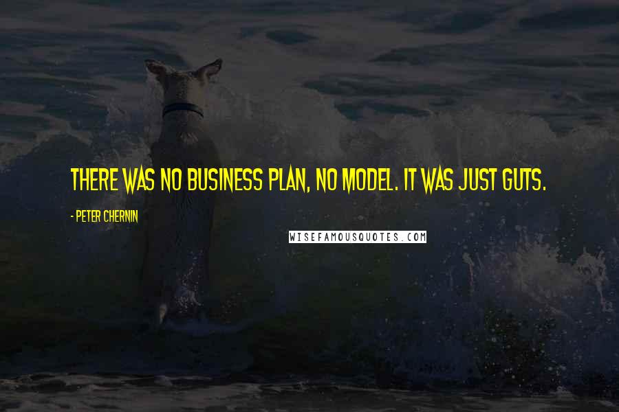 Peter Chernin Quotes: There was no business plan, no model. It was just guts.