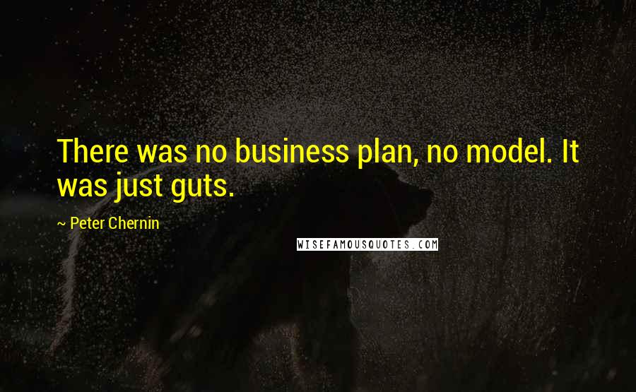 Peter Chernin Quotes: There was no business plan, no model. It was just guts.