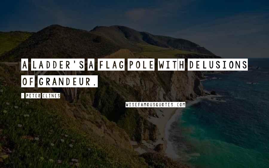Peter Clines Quotes: A ladder's a flag pole with delusions of grandeur.