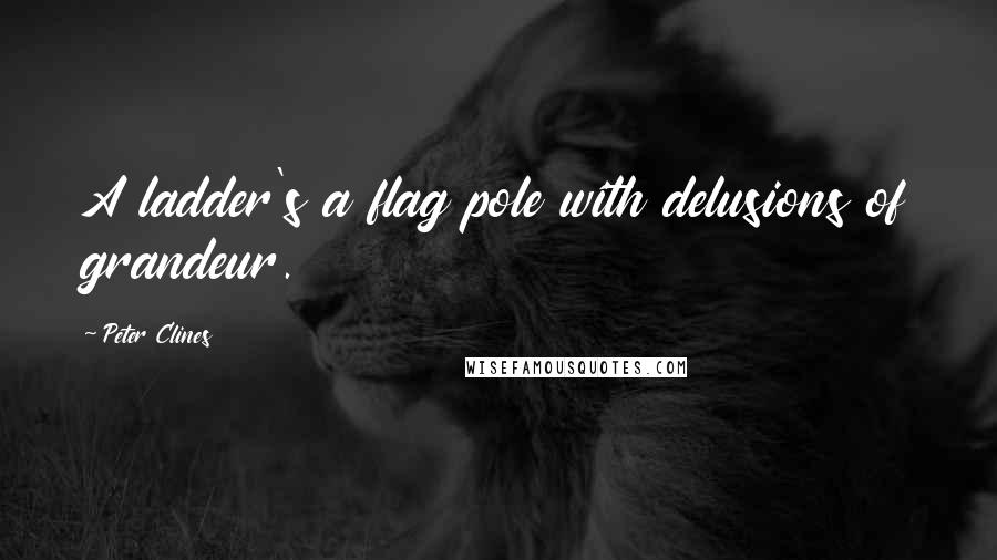Peter Clines Quotes: A ladder's a flag pole with delusions of grandeur.