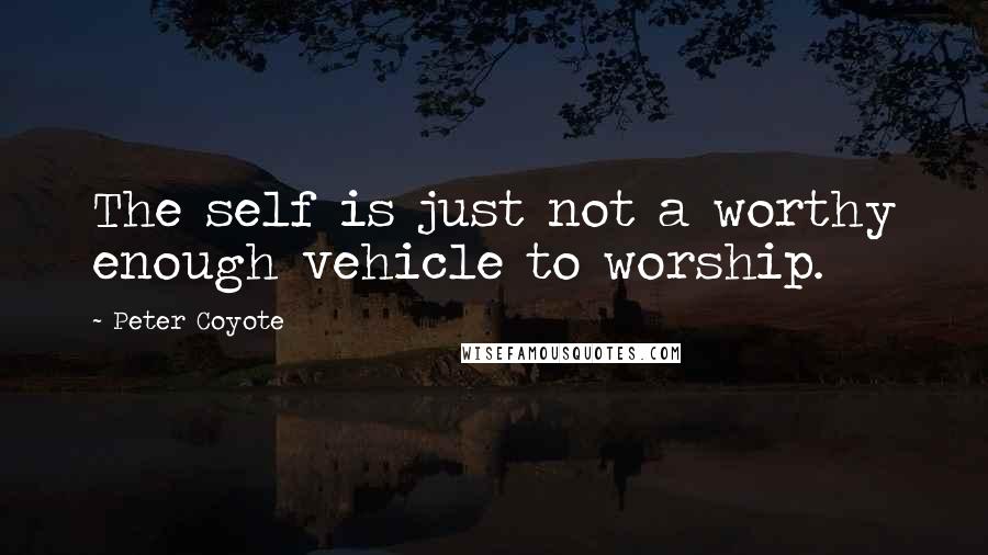 Peter Coyote Quotes: The self is just not a worthy enough vehicle to worship.