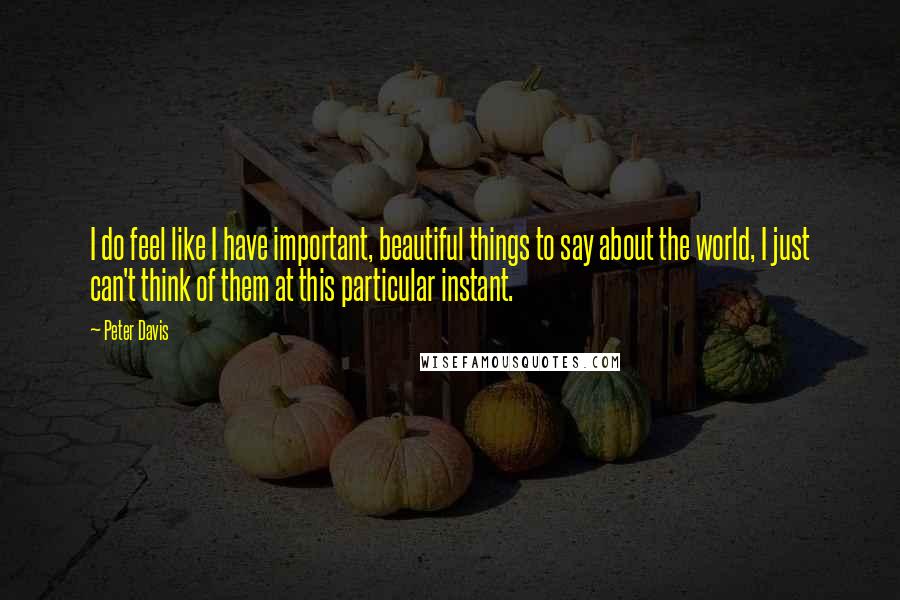 Peter Davis Quotes: I do feel like I have important, beautiful things to say about the world, I just can't think of them at this particular instant.