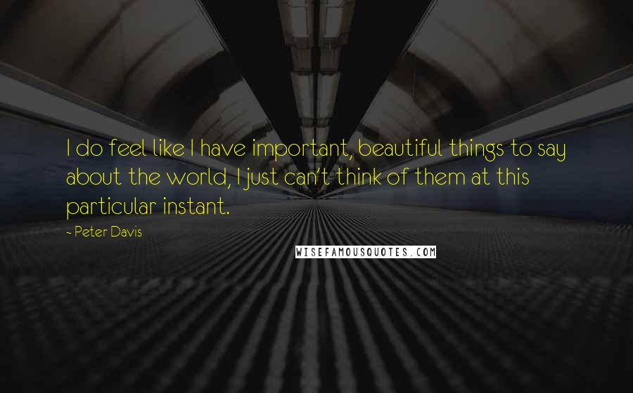 Peter Davis Quotes: I do feel like I have important, beautiful things to say about the world, I just can't think of them at this particular instant.