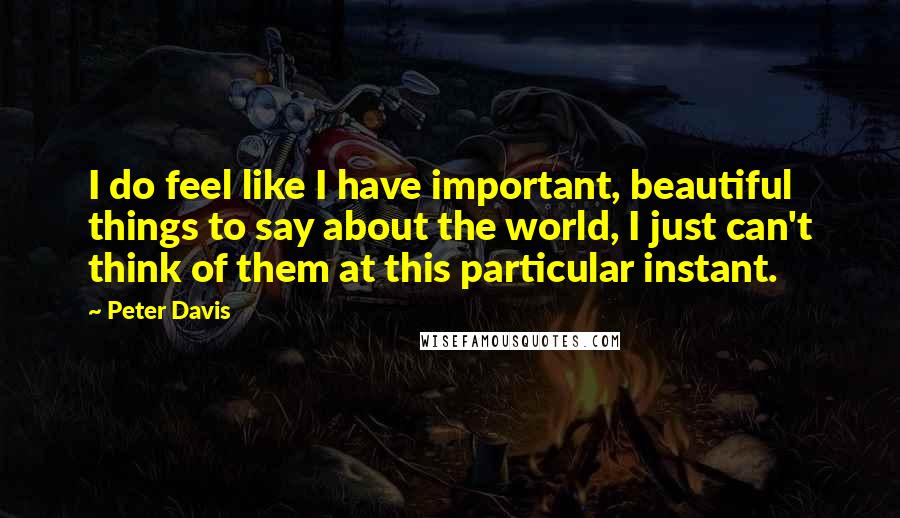 Peter Davis Quotes: I do feel like I have important, beautiful things to say about the world, I just can't think of them at this particular instant.