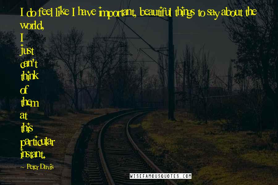 Peter Davis Quotes: I do feel like I have important, beautiful things to say about the world, I just can't think of them at this particular instant.