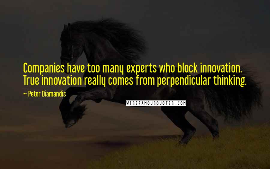 Peter Diamandis Quotes: Companies have too many experts who block innovation. True innovation really comes from perpendicular thinking.