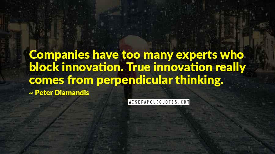 Peter Diamandis Quotes: Companies have too many experts who block innovation. True innovation really comes from perpendicular thinking.