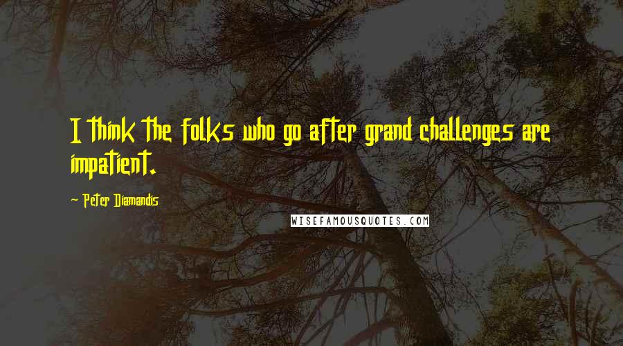 Peter Diamandis Quotes: I think the folks who go after grand challenges are impatient.