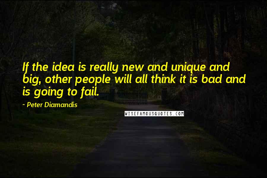 Peter Diamandis Quotes: If the idea is really new and unique and big, other people will all think it is bad and is going to fail.