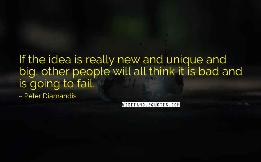 Peter Diamandis Quotes: If the idea is really new and unique and big, other people will all think it is bad and is going to fail.