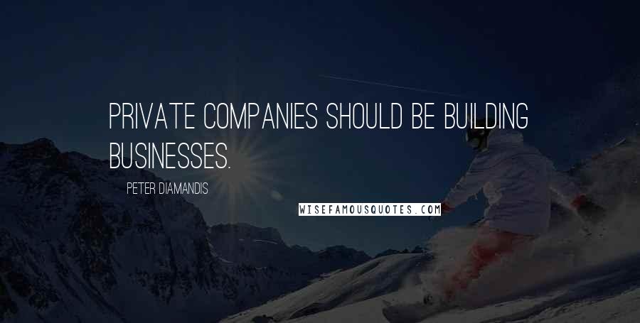 Peter Diamandis Quotes: Private companies should be building businesses.