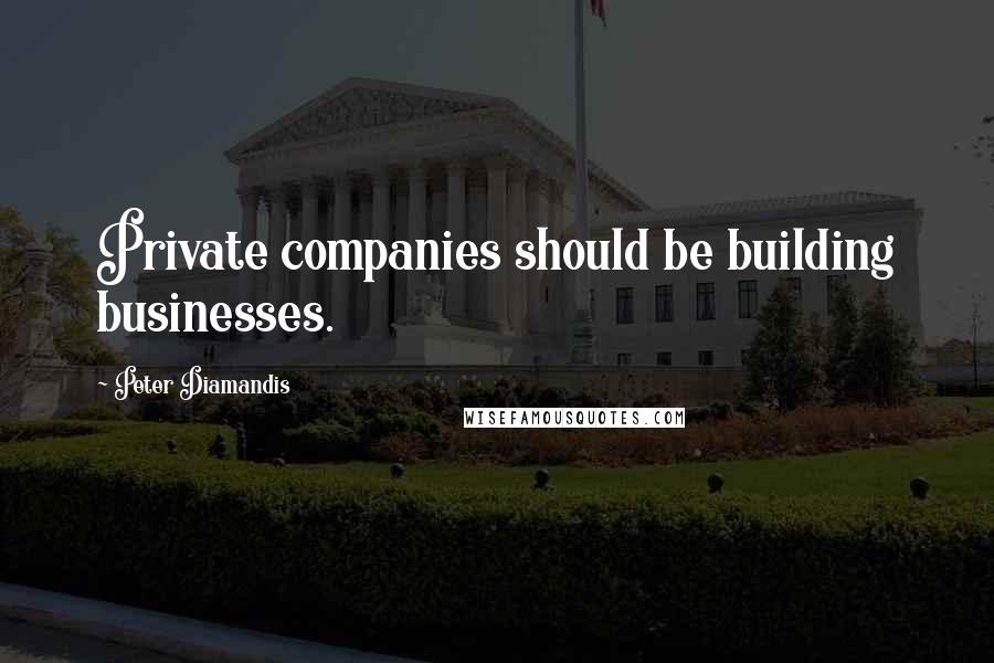 Peter Diamandis Quotes: Private companies should be building businesses.