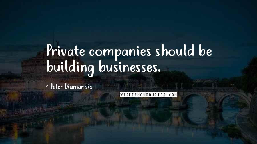Peter Diamandis Quotes: Private companies should be building businesses.