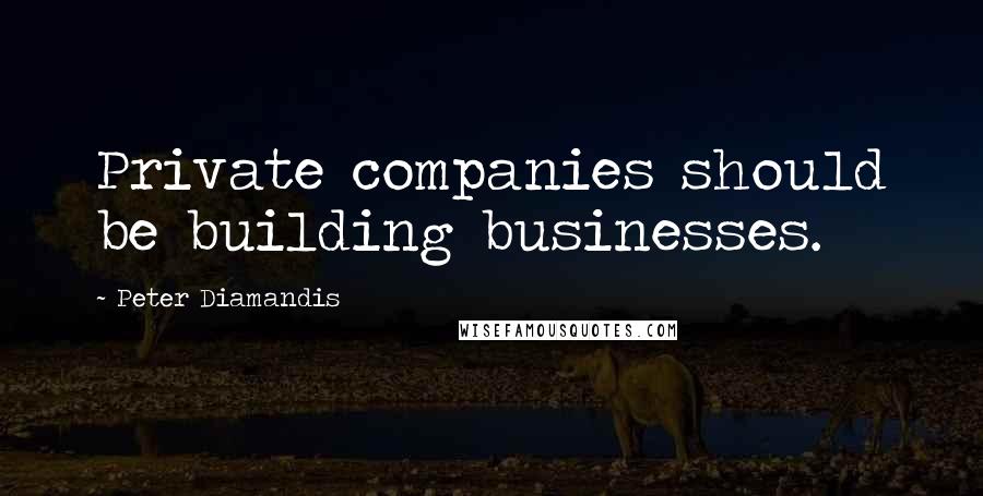 Peter Diamandis Quotes: Private companies should be building businesses.