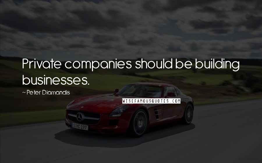 Peter Diamandis Quotes: Private companies should be building businesses.