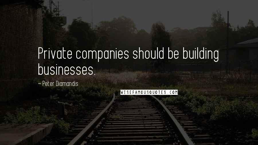 Peter Diamandis Quotes: Private companies should be building businesses.