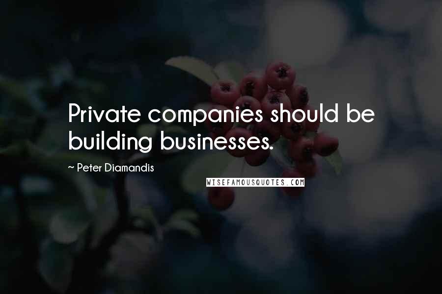 Peter Diamandis Quotes: Private companies should be building businesses.