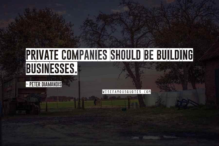 Peter Diamandis Quotes: Private companies should be building businesses.