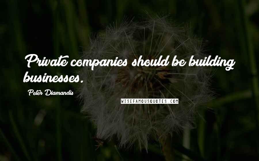 Peter Diamandis Quotes: Private companies should be building businesses.
