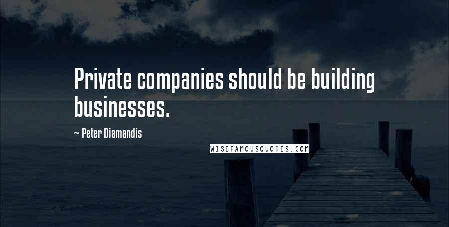 Peter Diamandis Quotes: Private companies should be building businesses.
