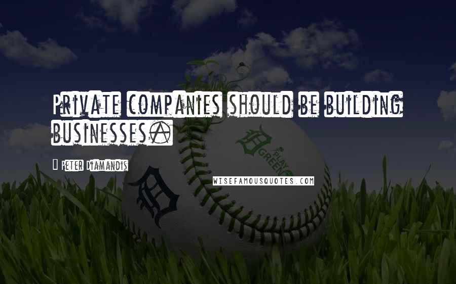 Peter Diamandis Quotes: Private companies should be building businesses.