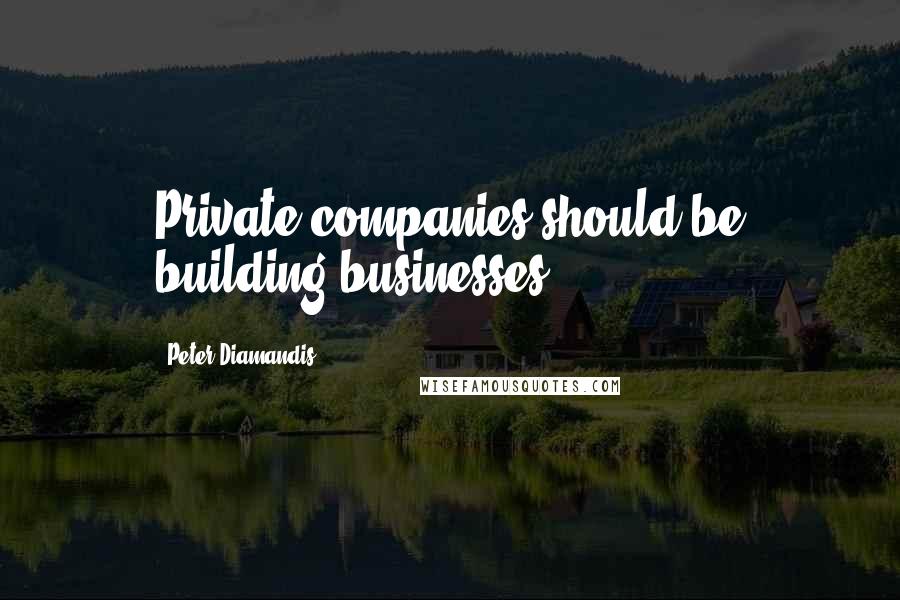 Peter Diamandis Quotes: Private companies should be building businesses.