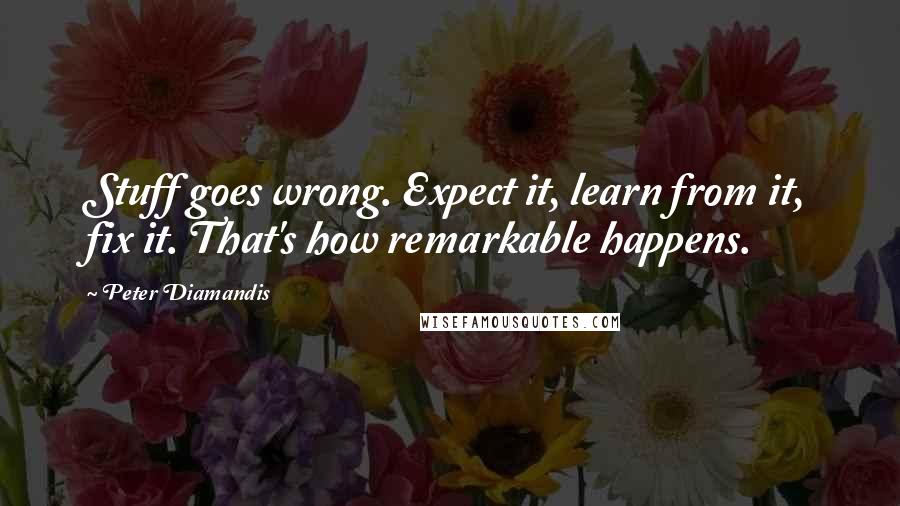 Peter Diamandis Quotes: Stuff goes wrong. Expect it, learn from it, fix it. That's how remarkable happens.