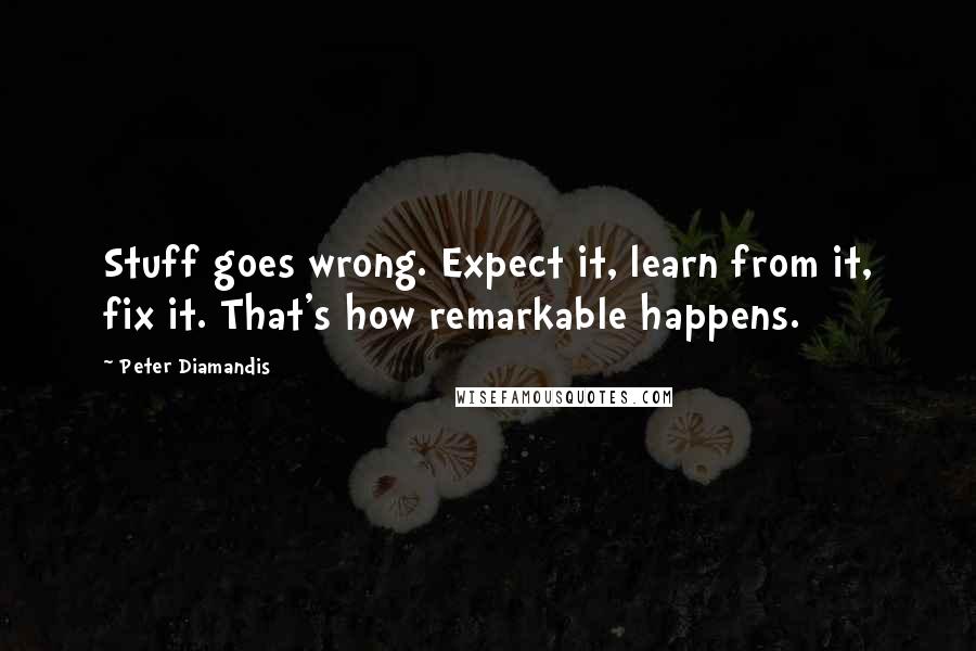 Peter Diamandis Quotes: Stuff goes wrong. Expect it, learn from it, fix it. That's how remarkable happens.