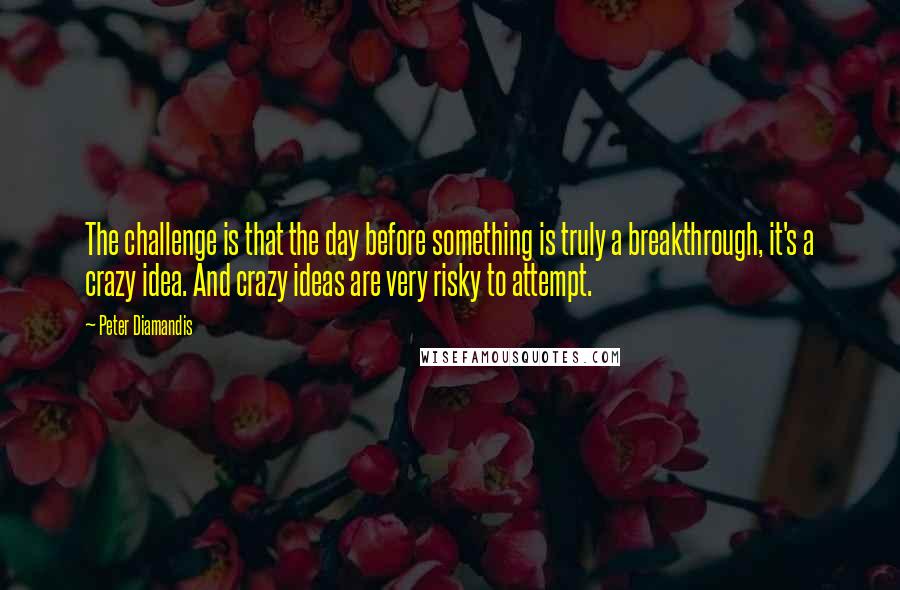 Peter Diamandis Quotes: The challenge is that the day before something is truly a breakthrough, it's a crazy idea. And crazy ideas are very risky to attempt.