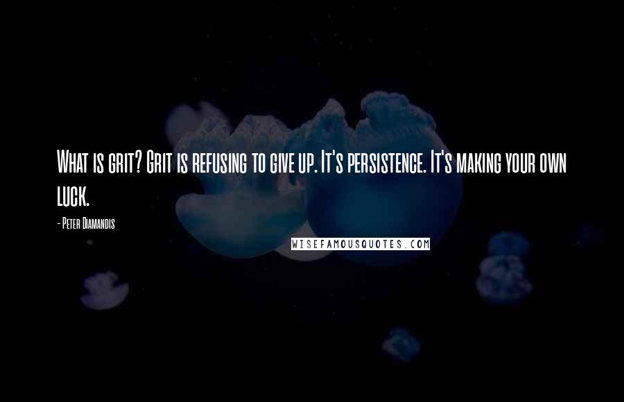 Peter Diamandis Quotes: What is grit? Grit is refusing to give up. It's persistence. It's making your own luck.