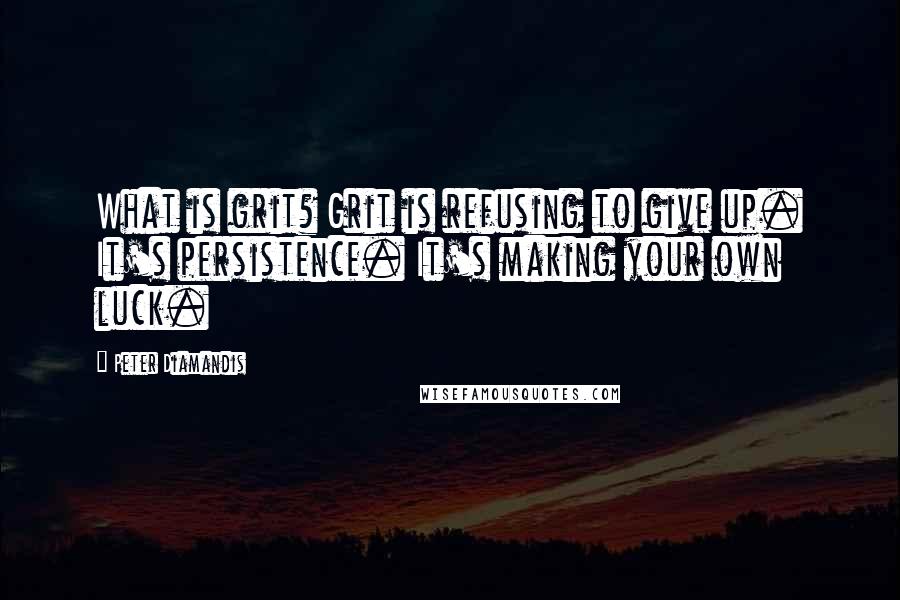 Peter Diamandis Quotes: What is grit? Grit is refusing to give up. It's persistence. It's making your own luck.