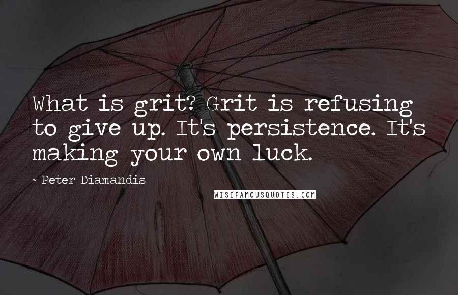 Peter Diamandis Quotes: What is grit? Grit is refusing to give up. It's persistence. It's making your own luck.