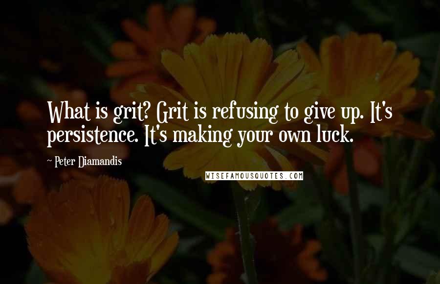 Peter Diamandis Quotes: What is grit? Grit is refusing to give up. It's persistence. It's making your own luck.