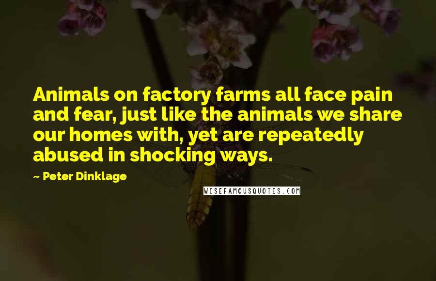 Peter Dinklage Quotes: Animals on factory farms all face pain and fear, just like the animals we share our homes with, yet are repeatedly abused in shocking ways.