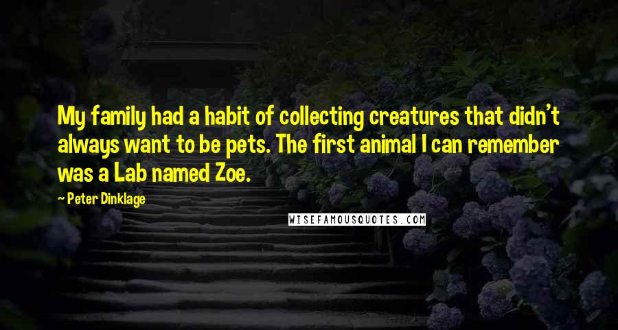 Peter Dinklage Quotes: My family had a habit of collecting creatures that didn't always want to be pets. The first animal I can remember was a Lab named Zoe.